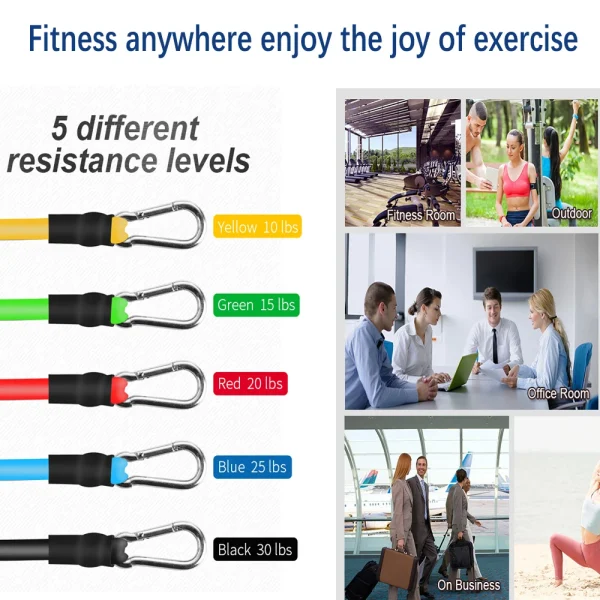 Deiris Resistance Bands Set Exercise Bands Portable Gym Accessories Professional Fitness Training Physical Therapy Home Workouts - Image 4